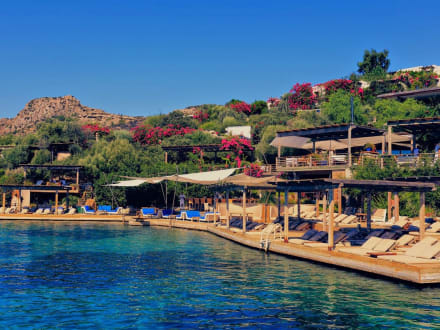 Maçakizi — Bodrum