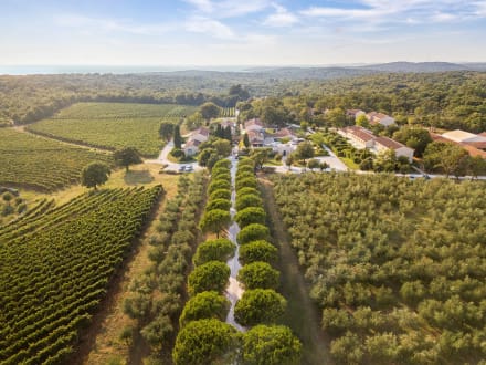 Meneghetti Wine Hotel & Winery — Bale