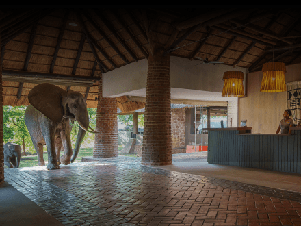 Mfuwe Lodge, the Bushcamp Company — South Luangwa National Park