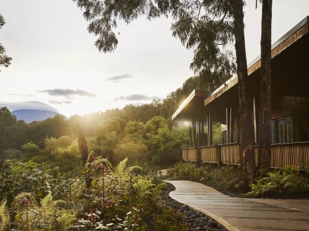 One&Only Gorilla’s Nest — Rwanda