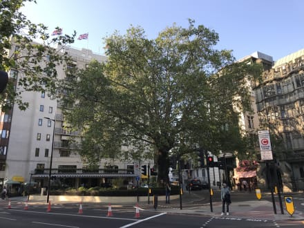 The Dorchester — London