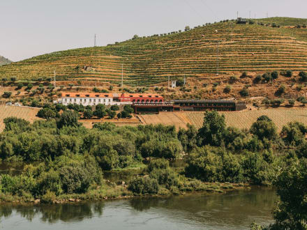 Torel Quinta da Vacaria — Vilarinho dos Freires