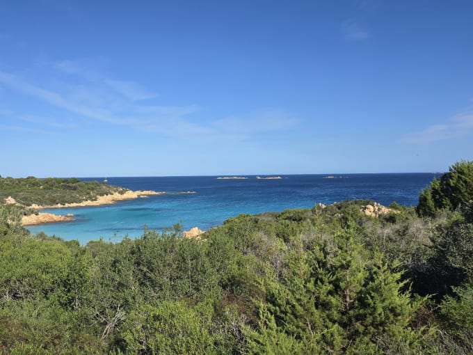 Romazzino, Sardinia