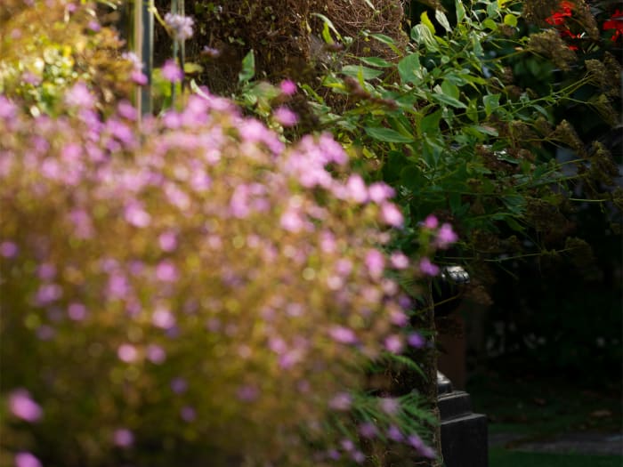 Charmant A Quinta da Auga Hotel & Spa Saint-Jacques-de-Compostelle
