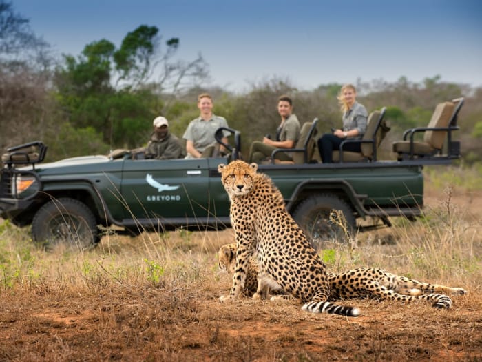 Sauvage andBeyond Phinda Private Game Reserve Lodges Phinda Private Game Reserve