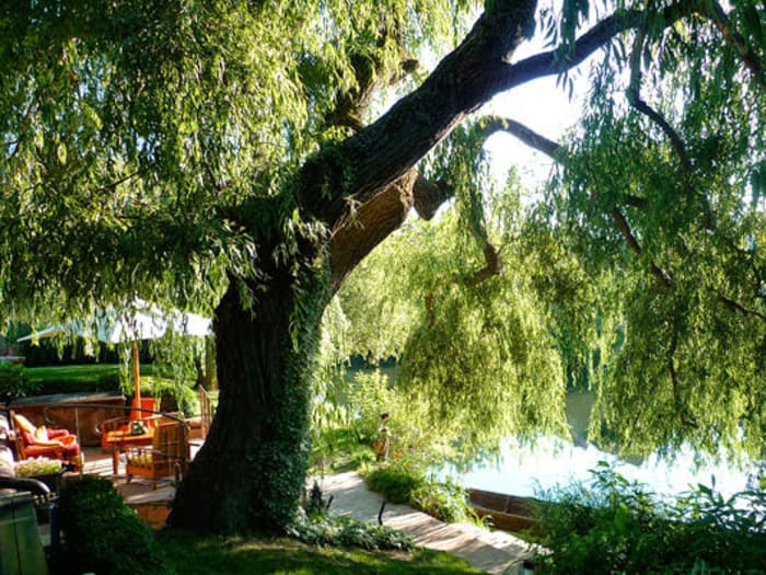 Apaisante Auberge de l'Ill - Hôtel des Berges & Spa Illhaeusern
