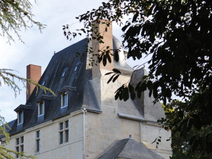 Charmant Château Louise de La Vallière Reugny