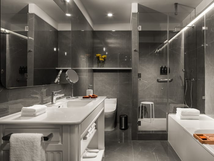 Élégant Debaines Hotel Santiago Santiago