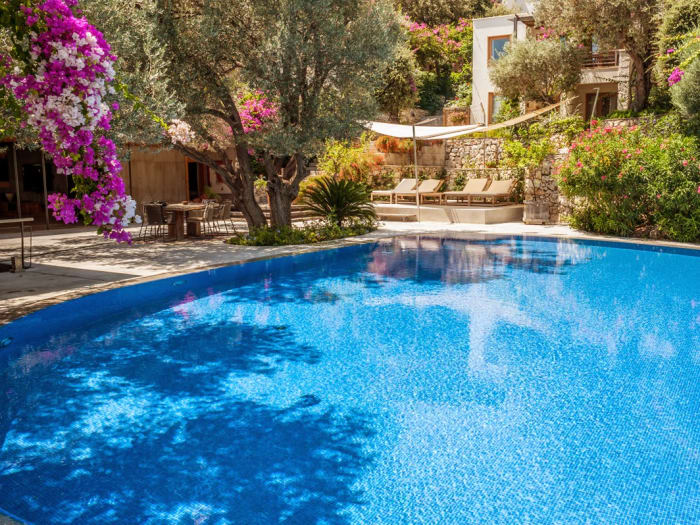 Sereine Maçakizi Bodrum