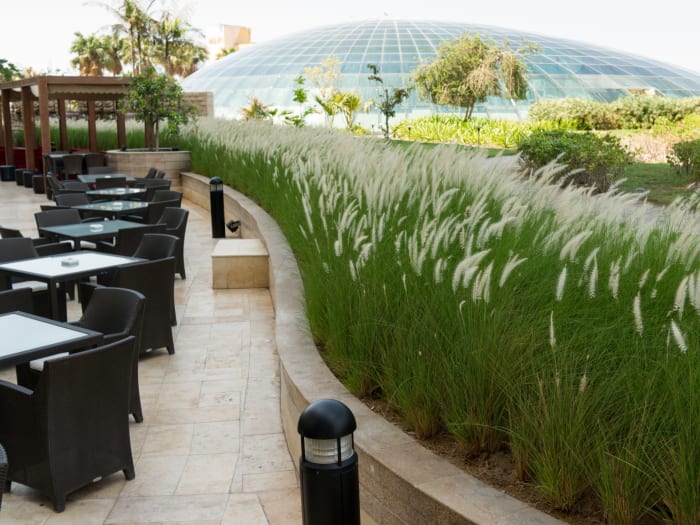 Inviting Raffles Dubai Dubai
