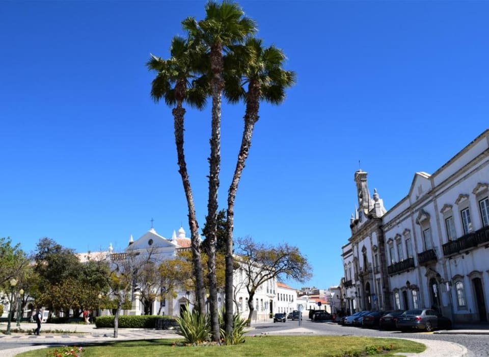 Jardim em Faro