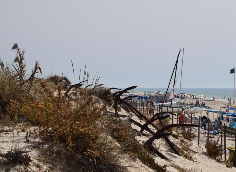 Areal da Praia do Barril