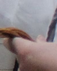 Campanha Sensibiliza Campos Gerais Ponta Grossa contra a violência à pessoa idosa. 