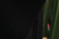 HCorBJ recebe equipamentos de recursos destinados via emenda parlamentar pelo Dep. Aliel Machado