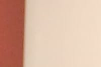 Dia Mundial da Segurança do Paciente