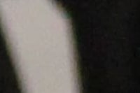 Treinamento - Atendimento ao Cliente