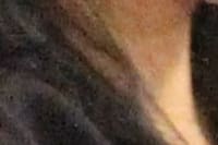 Treinamento - Atendimento ao Cliente