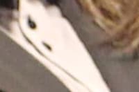 Treinamento - Atendimento ao Cliente