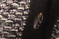 Planejamento Estratégico HCorBJ