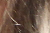 Planejamento Estratégico HCorBJ