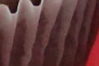 Hospital do Coração Bom Jesus (HCorBJ) tem nova direção clínica 