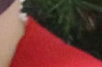 Hospital do Coração Bom Jesus (HCorBJ) recebe o Coral das Crianças da Paróquia Nossa Senhora do Pilar