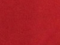 Hospital do Coração Bom Jesus (HCorBJ) recebe o Coral das Crianças da Paróquia Nossa Senhora do Pilar