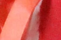 Hospital do Coração Bom Jesus (HCorBJ) recebe o Coral das Crianças da Paróquia Nossa Senhora do Pilar