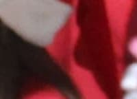 Hospital do Coração Bom Jesus (HCorBJ) recebe o Coral das Crianças da Paróquia Nossa Senhora do Pilar