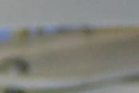 Ablação por Radiofrequência com Mapeamento Eletroanatômico