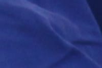 Ablação por Radiofrequência com Mapeamento Eletroanatômico