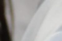 Dia Nacional de Atenção à Disfagia