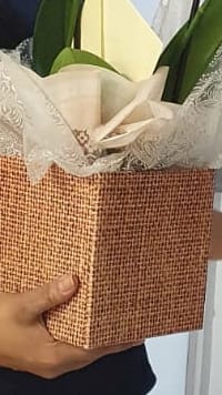 1º Consultório de Enfermagem de Gestão de Alta da região