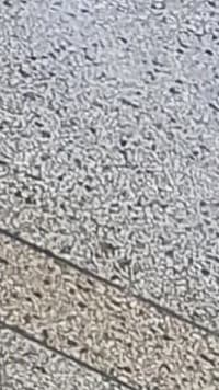 Semana de Humanização