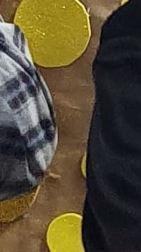 Semana de Humanização