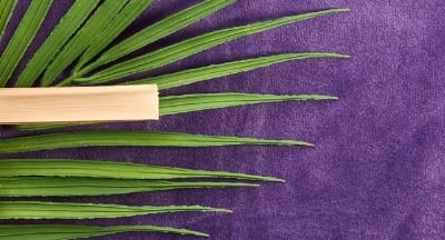 Segundo Domingo da Quaresma. 01/03/26. (Mt 17,1-9)