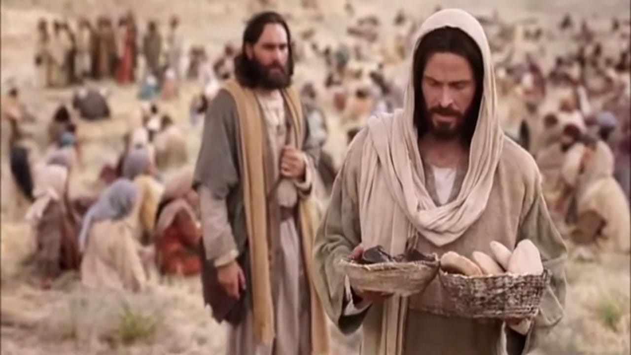 18º Domingo do tempo comum