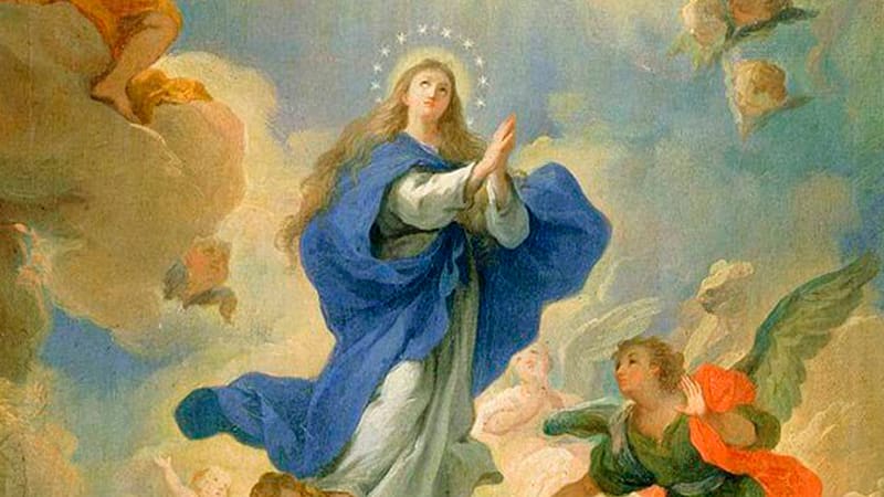 20° Domingo do Tempo Comum Solenidade da Assunção da Bem-aventurada Virgem Maria. 