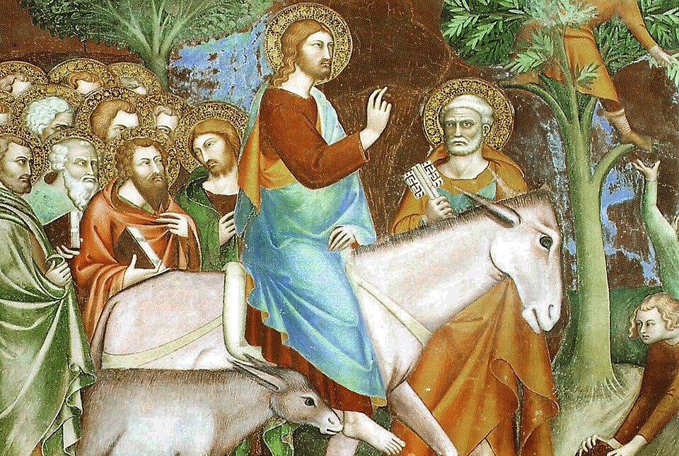 Domingo de Ramos da Paixão do Senhor - 29/03/26 (Mt 21,1-11)