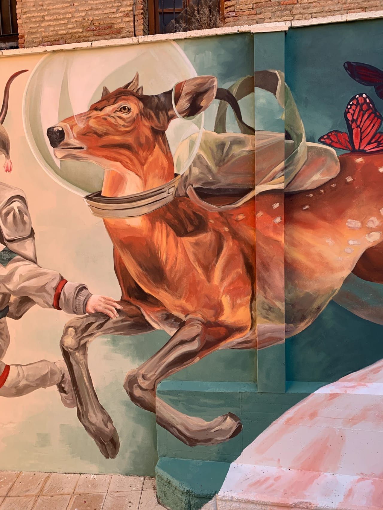 Perro en traje espacial corriendo con casco.