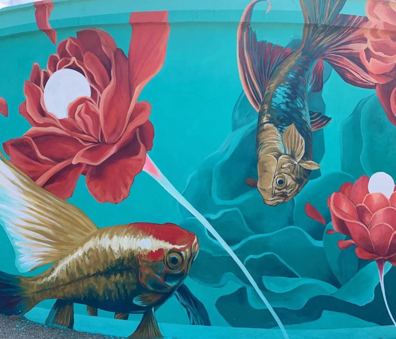 Pez dorado y pez cola de velo nadando entre flores de loto rojas en un fondo turquesa.