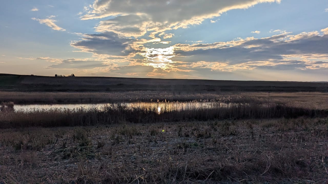Paisaje rural con un estanque al atardecer, nubes dispersas en el cielo.