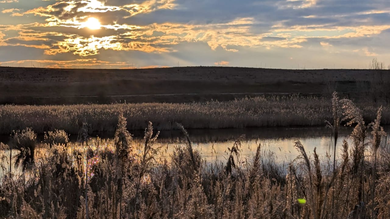 Paisaje natural al atardecer con un lago rodeado de juncos y vegetación seca bajo un cielo nublado.