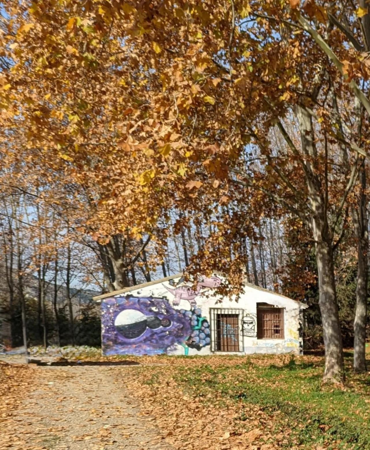 Una pequeña casa blanca con grafitis coloridos en un entorno otoñal.