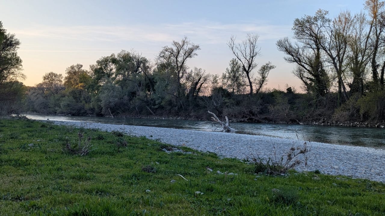 Río tranquilo rodeado de árboles y vegetación en un paisaje natural durante el atardecer.
