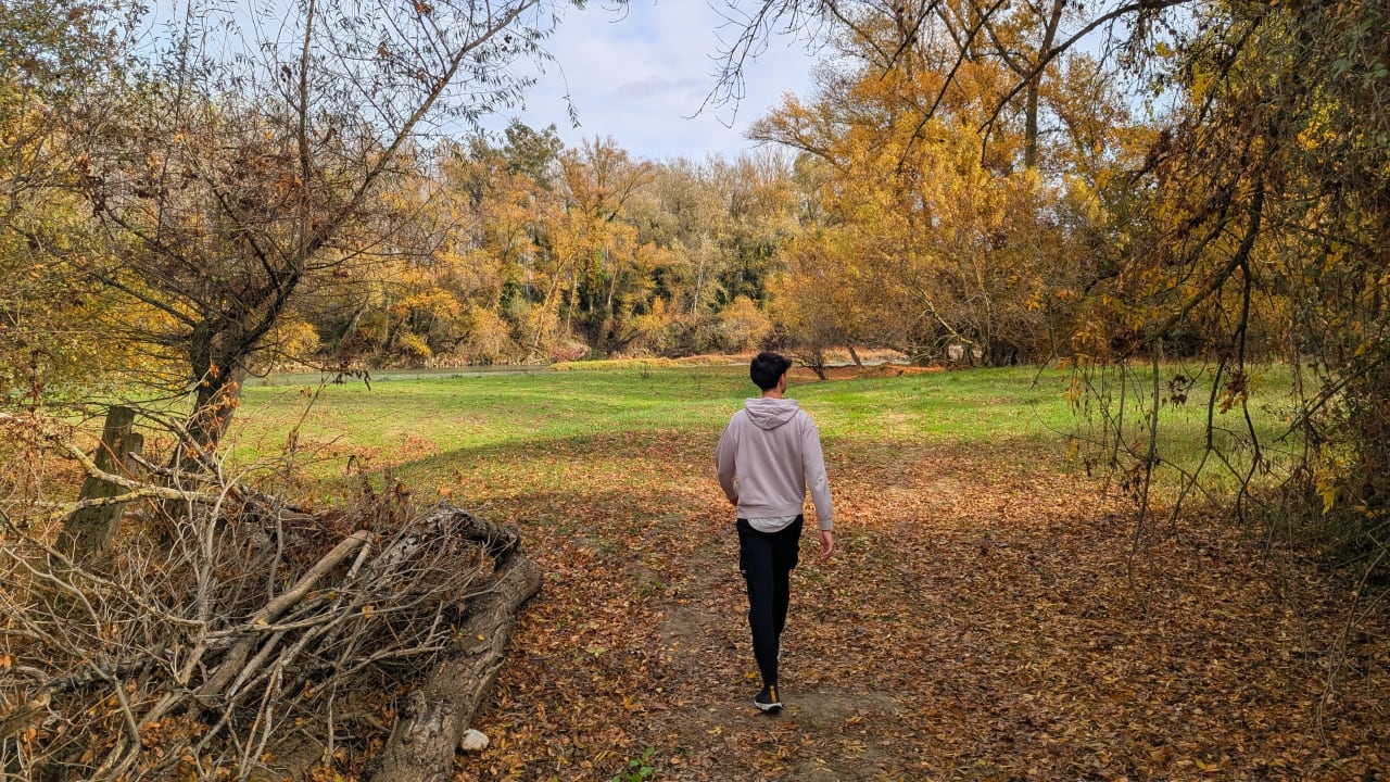 Hombre caminando por un sendero en un bosque durante el otoño.