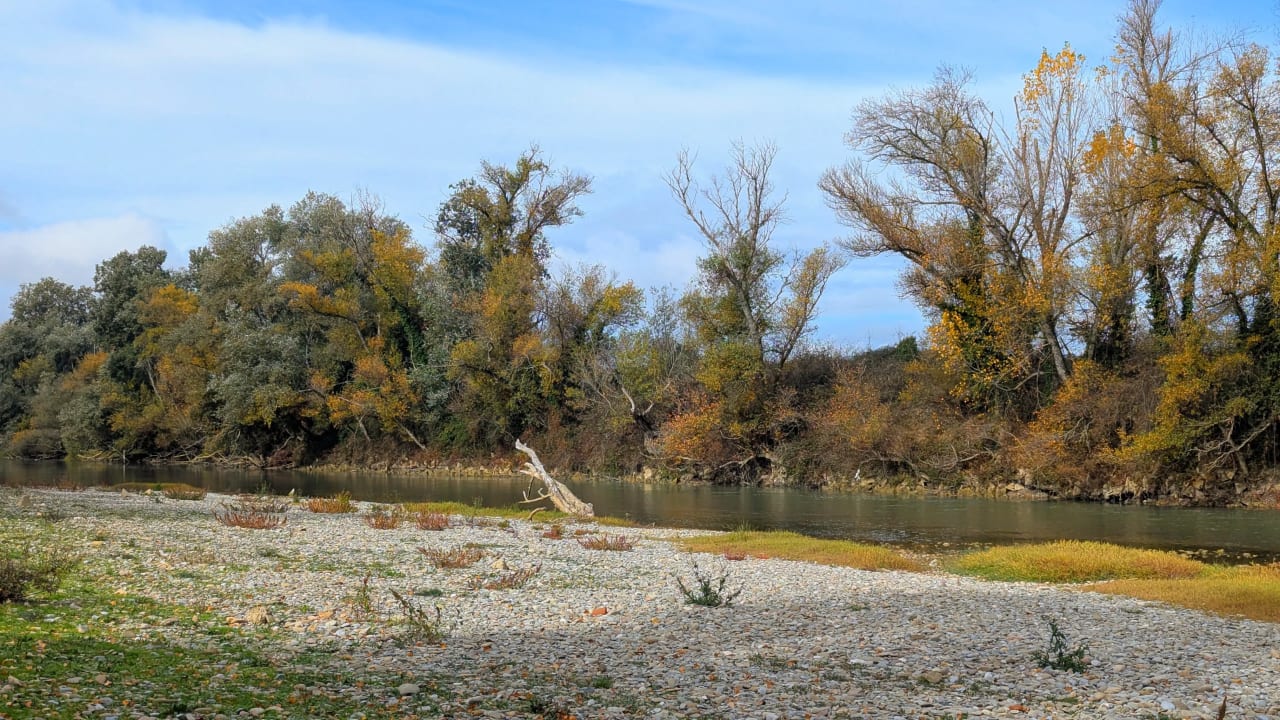 Ribera de un río con árboles y vegetación en otoño.