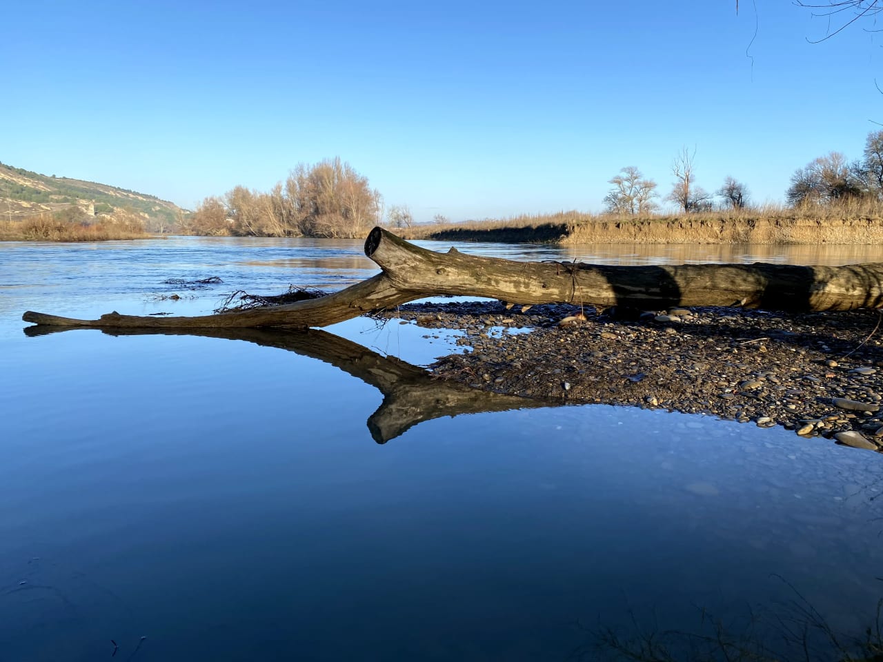Un tronco de árbol seco yace en la orilla de un río, reflejado en el agua calma.