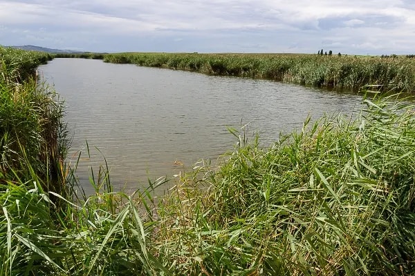 Un río serpenteante rodeado de vegetación verde y un cielo nublado.