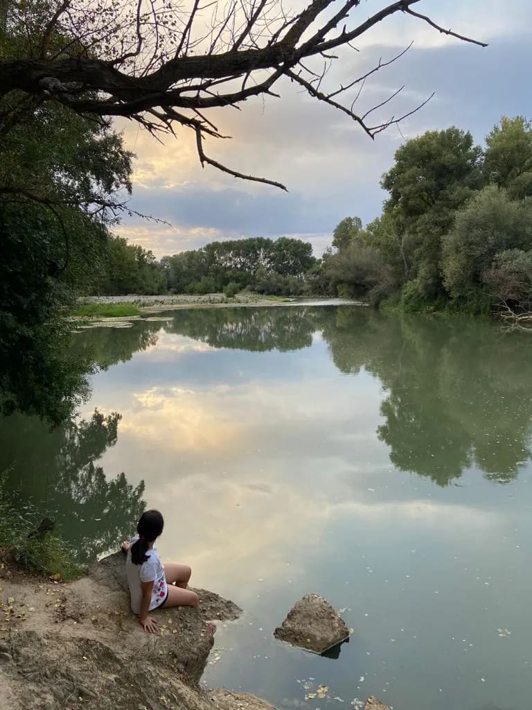 Una niña sentada en la orilla de un lago rodeado de árboles y un cielo nublado.